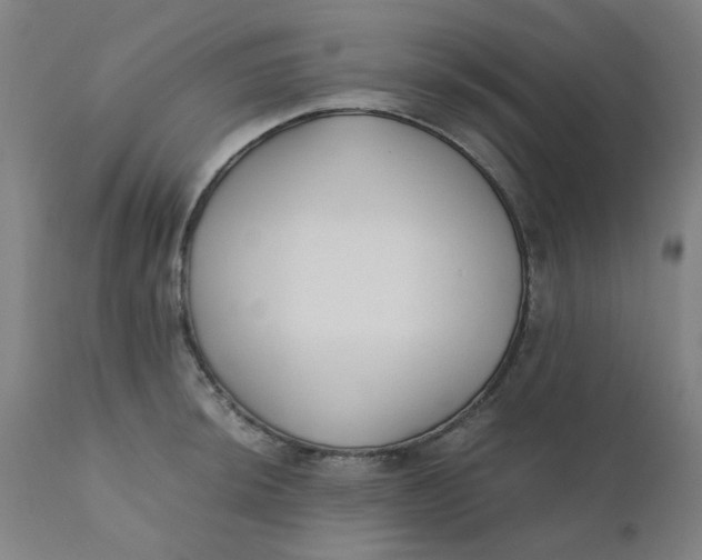 X0000110671044200907021841