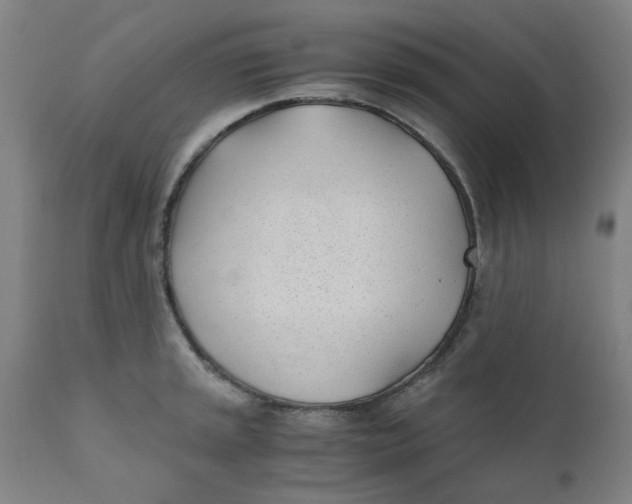 X0000110671045200907021841