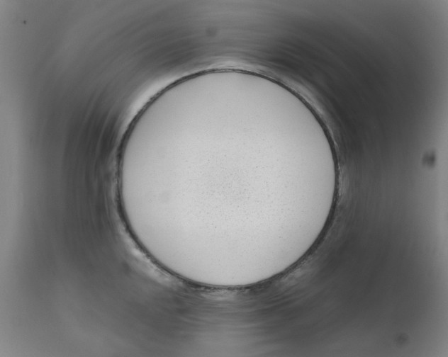X0000110671048200907021841