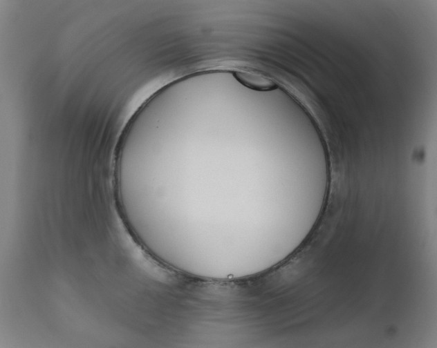 X0000110671050200907021841