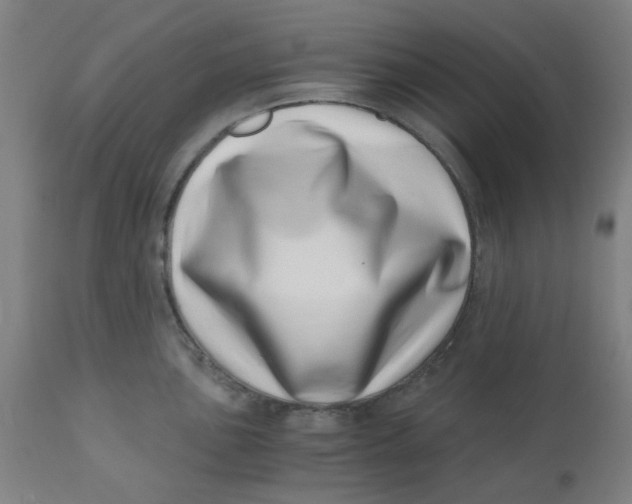 X0000110671051200907021841