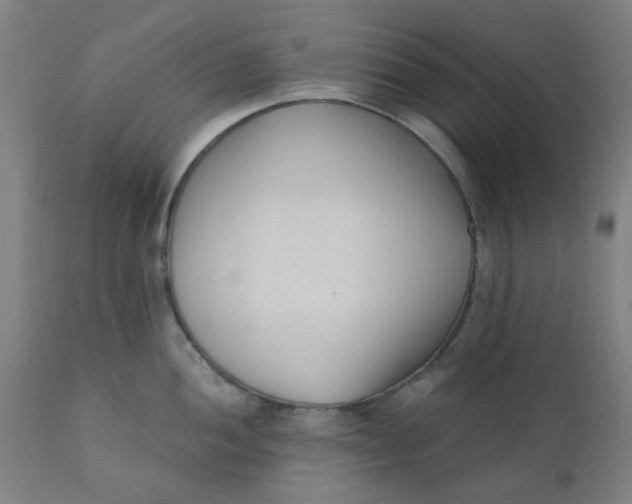 X0000110671052200907021842