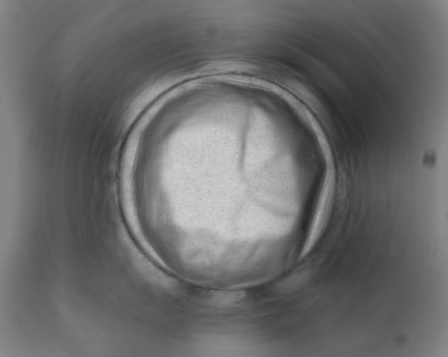 X0000110671055200907021842