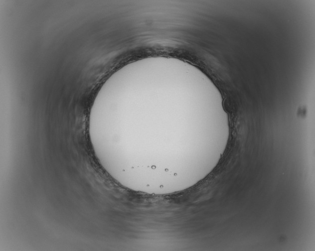 X0000110671061200907021841