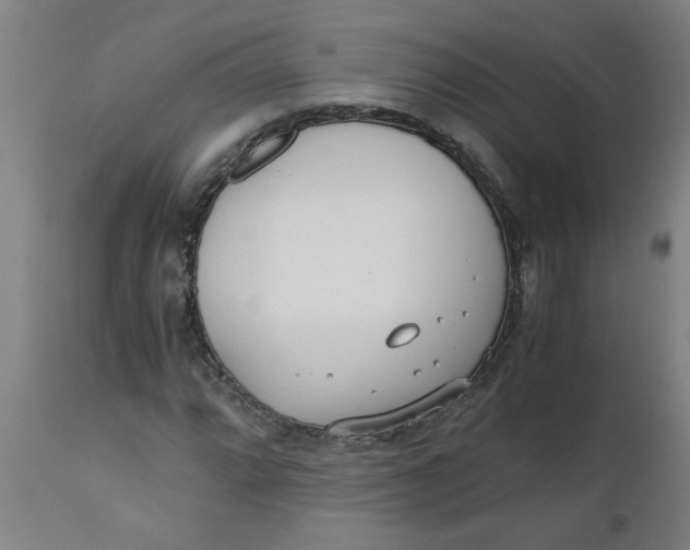 X0000110671064200907021841
