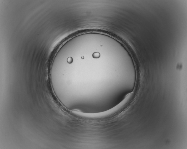 X0000110671069200907021841