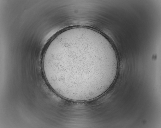 X0000110671071200907021841