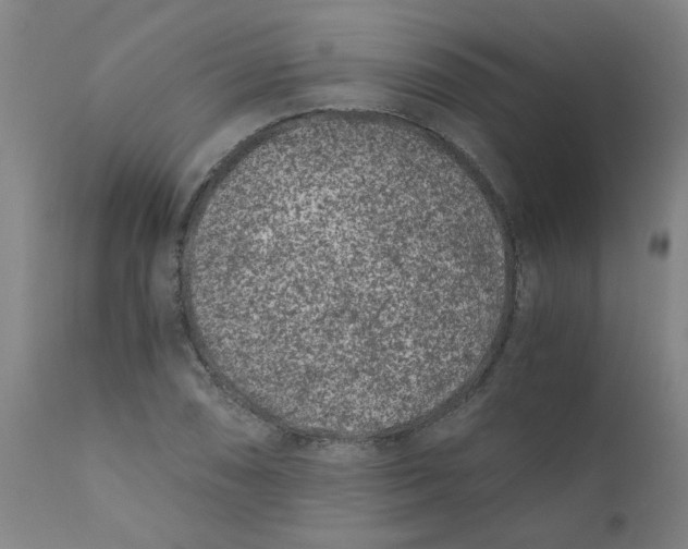 X0000110671074200907021841