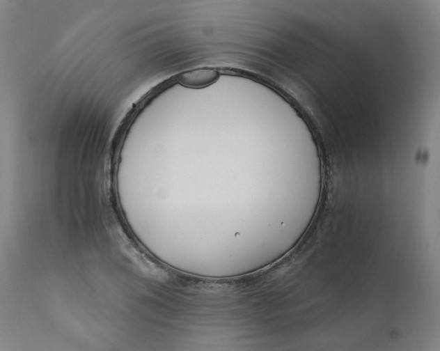 X0000110671076200907021841
