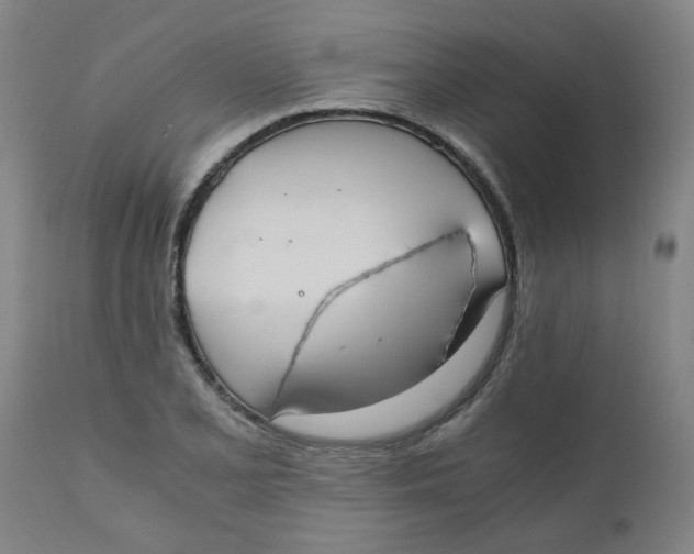 X0000110671077200907021841