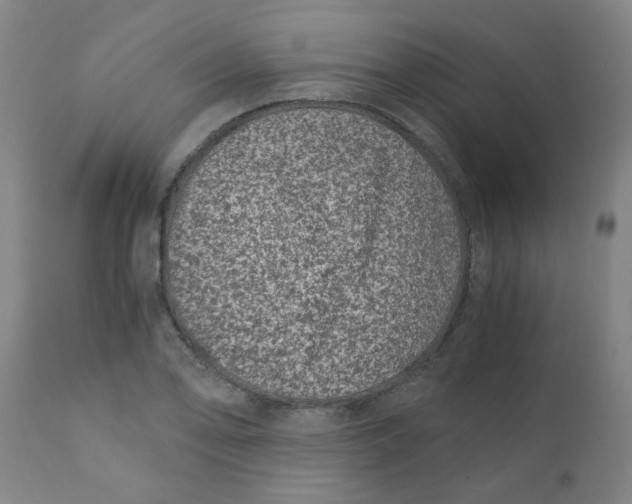 X0000110671078200907021841