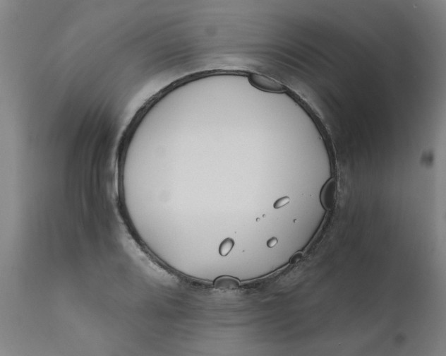 X0000110671080200907021841