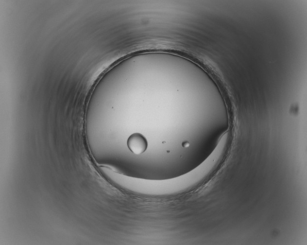 X0000110671081200907021841