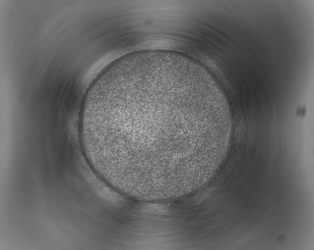 X0000110671086200907021840