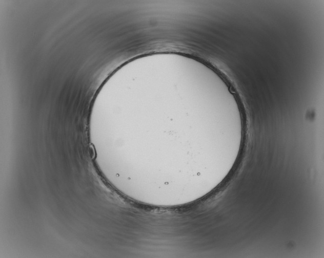 X0000110671089200907021840