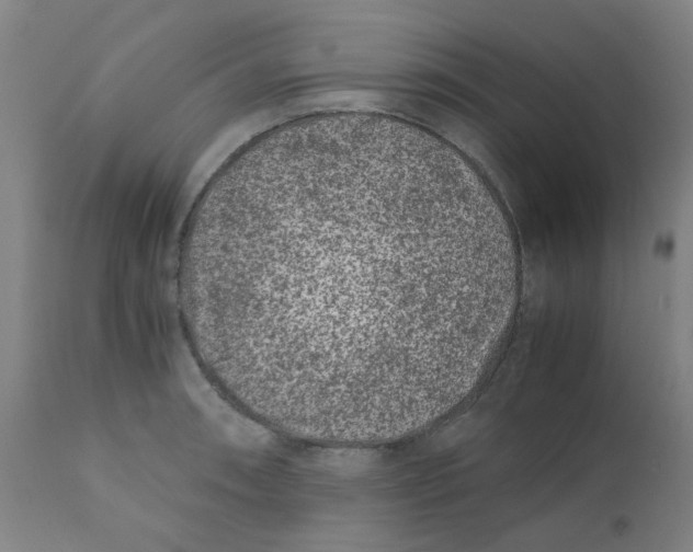X0000110671090200907021840