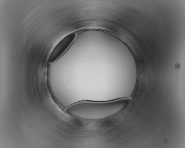 X0000110671092200907021840