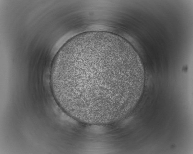 X0000110671094200907021840