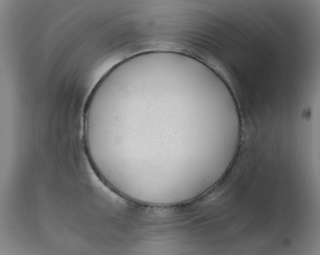 X0000110671095200907021840