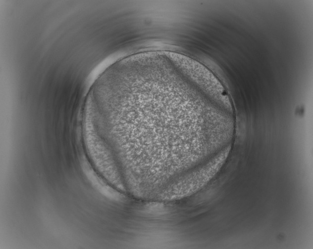 X0000110671098200907021840