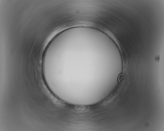 X0000110671099200907021840