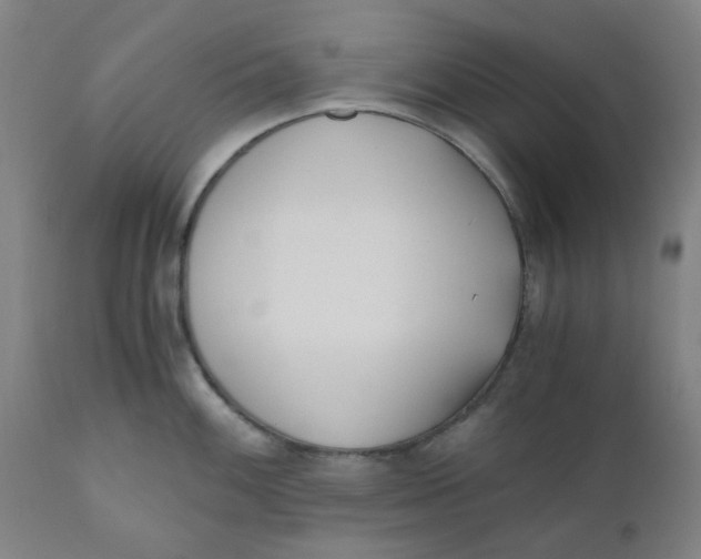 X0000110671100200907021840