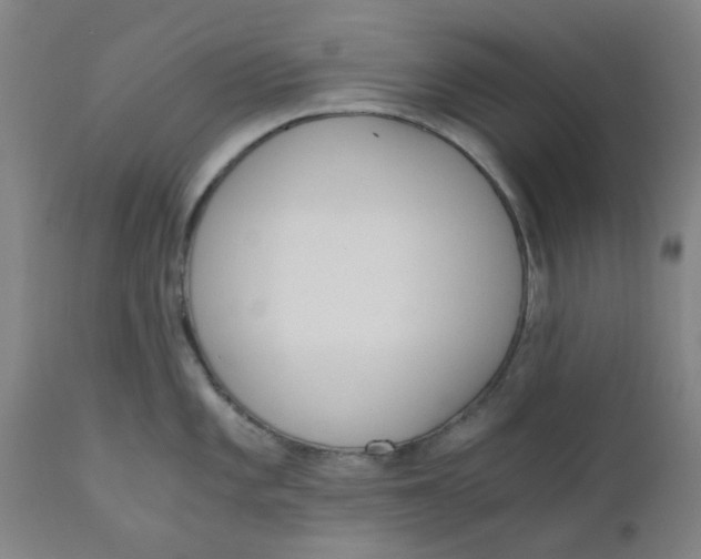 X0000110671101200907021840