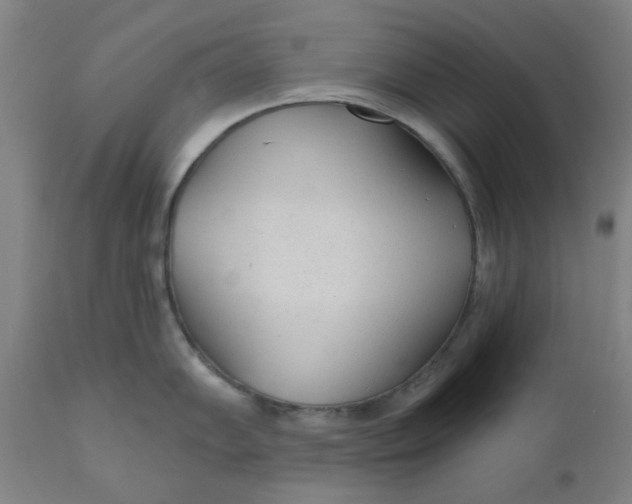 X0000110671102200907021840