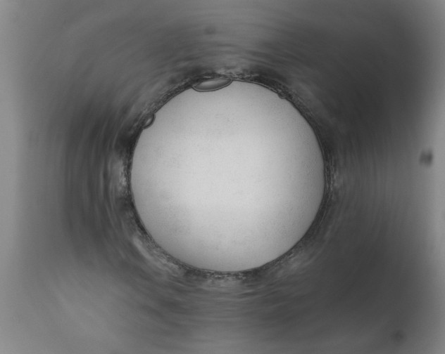 X0000110671106200907021839