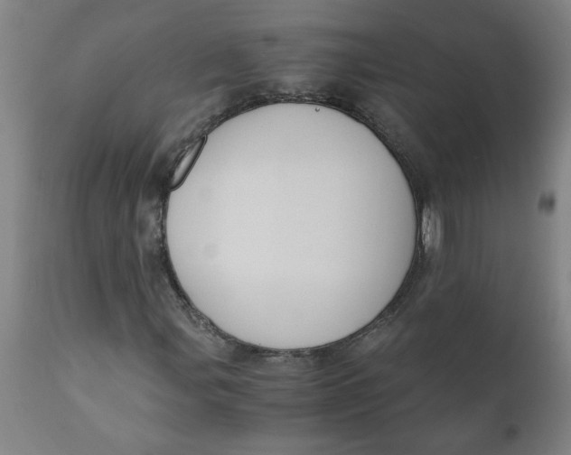 X0000110671107200907021839
