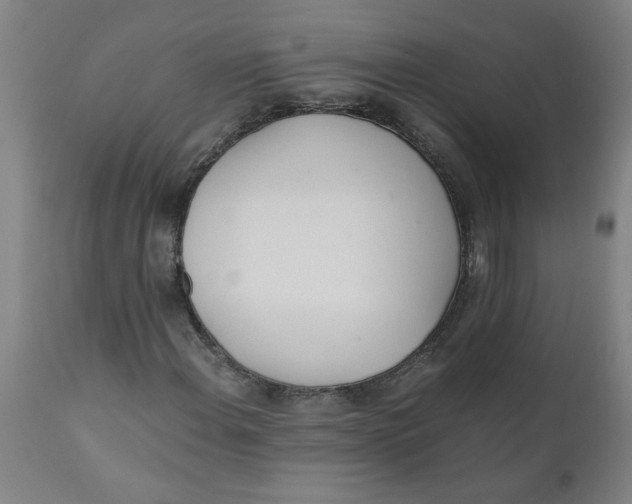X0000110671108200907021839
