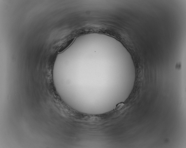 X0000110671109200907021839