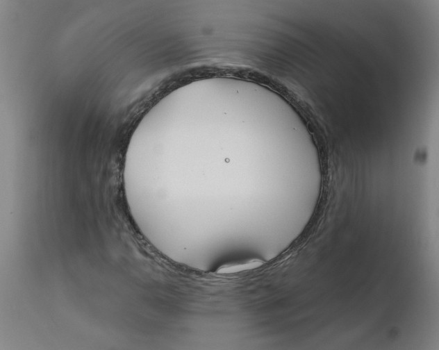 X0000110671110200907021839