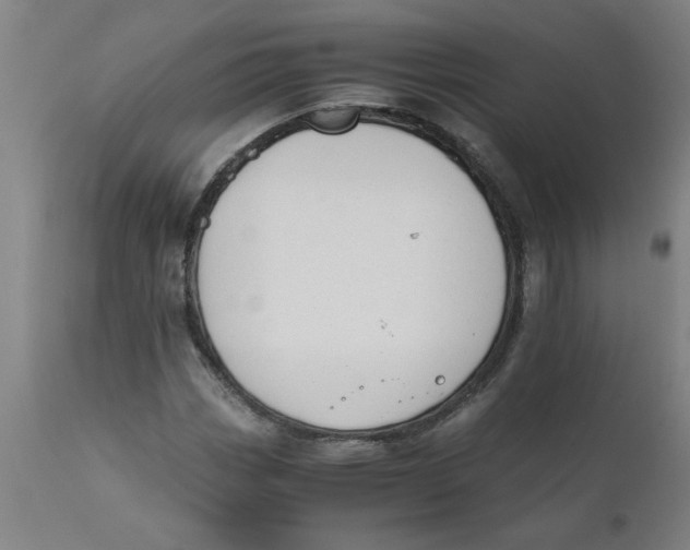 X0000110671113200907021840