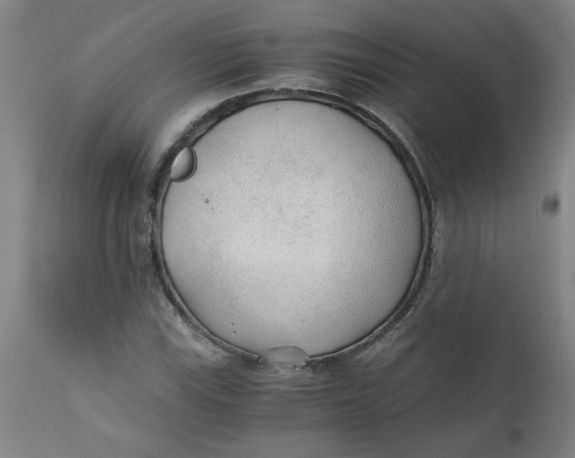 X0000110671115200907021840