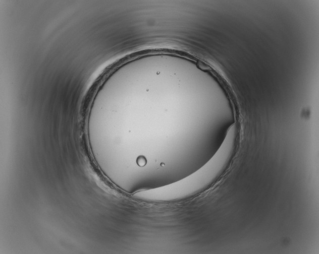 X0000110671116200907021840