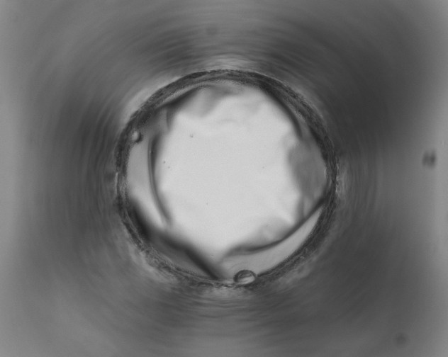 X0000110671117200907021840