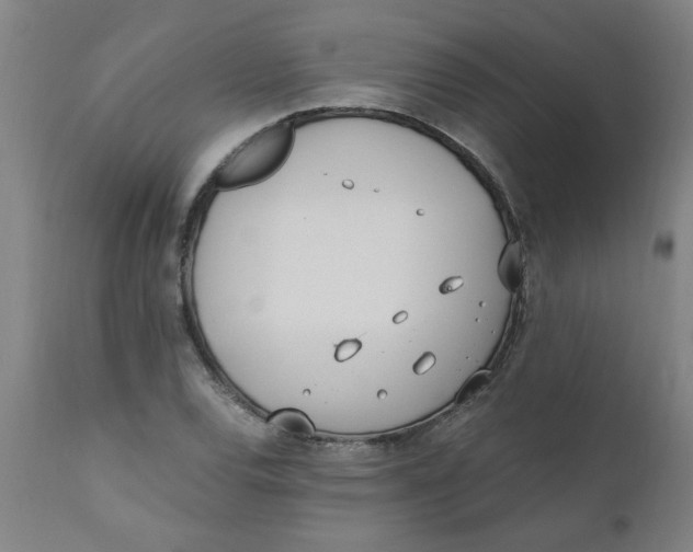 X0000110671120200907021840