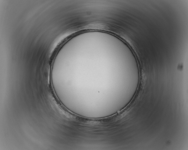X0000110671123200907021840