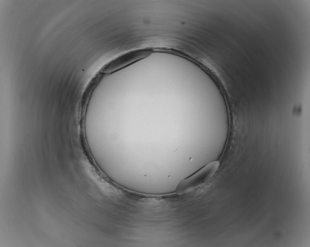 X0000110671124200907021840