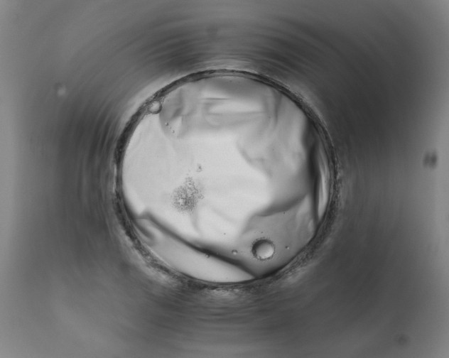 X0000110671125200907021840