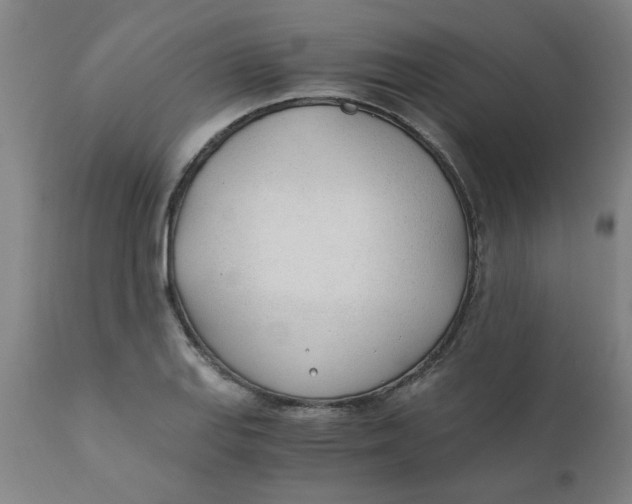 X0000110671127200907021840