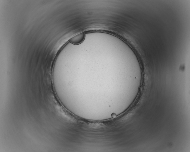 X0000110671129200907021840
