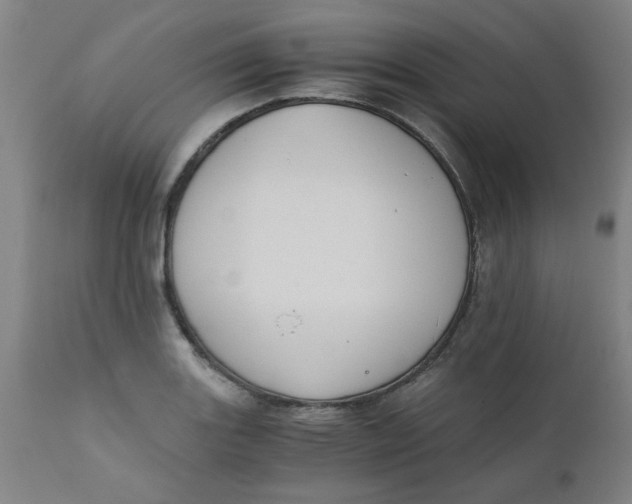 X0000110671131200907021840