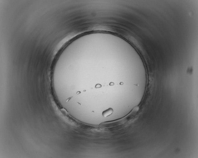 X0000110671133200907021840