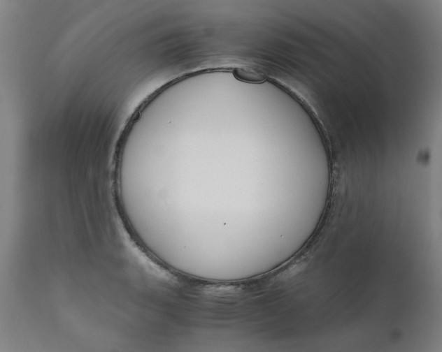 X0000110671135200907021840