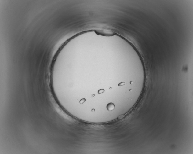 X0000110671136200907021840