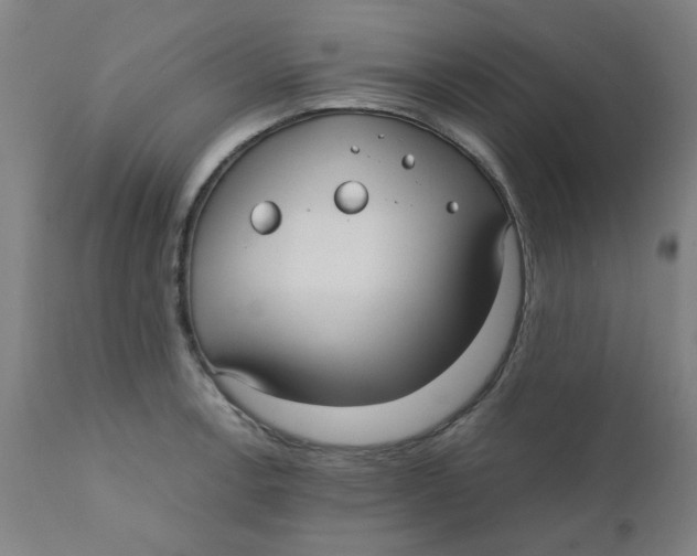 X0000110671138200907021840