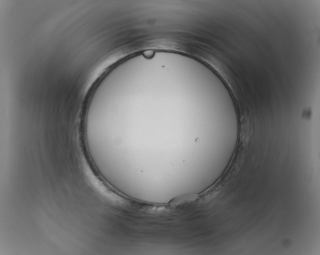 X0000110671139200907021840