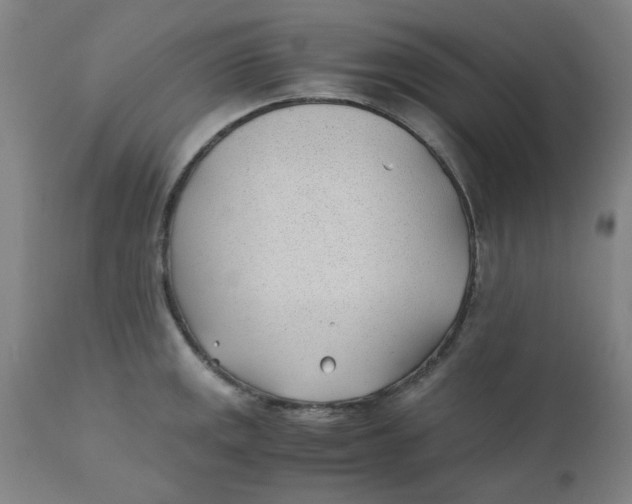 X0000110671141200907021840